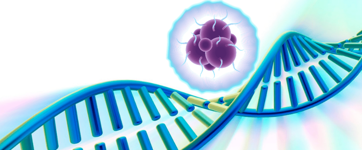 BRCA1_2 Somatic